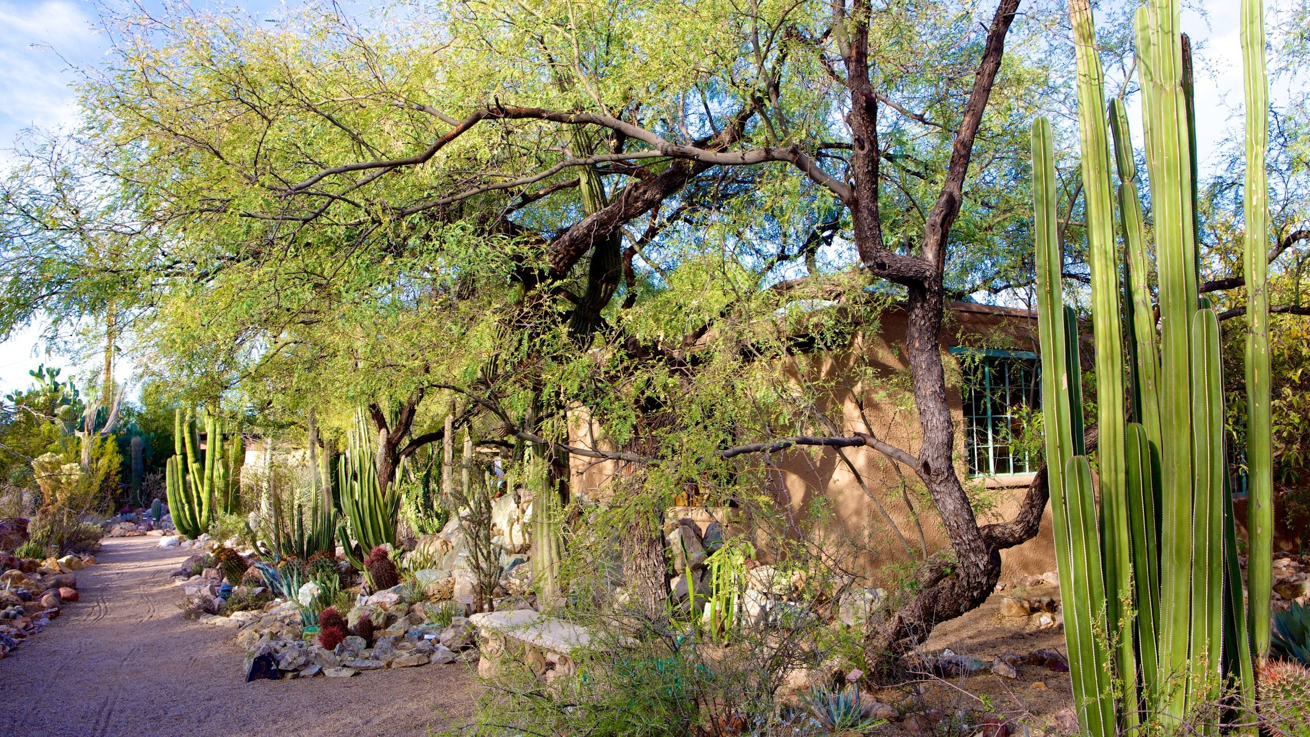 Tucson Botanical Gardens, Tucson location de vacances à partir de € 82