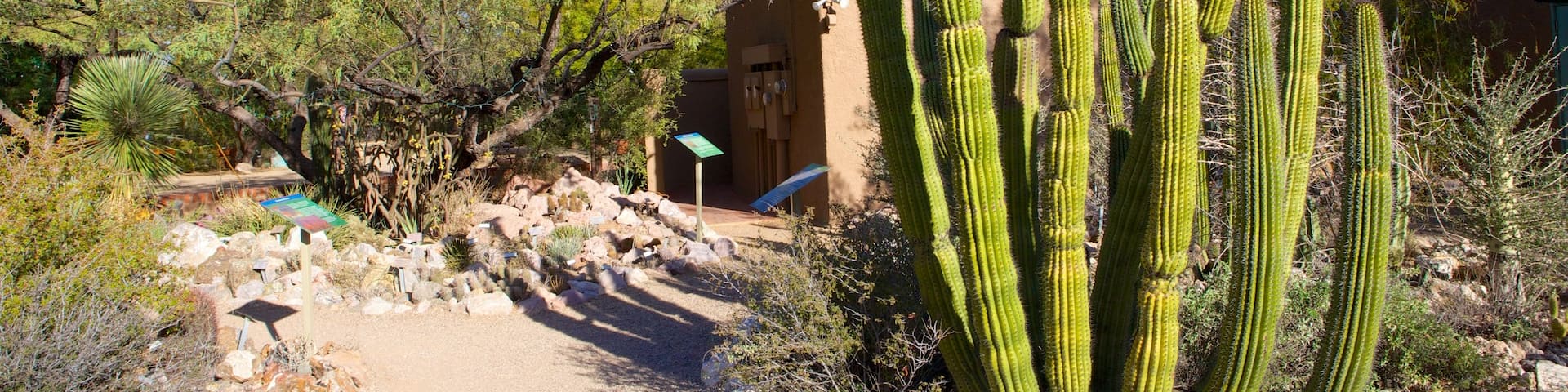 Tucson Botanical Gardens which includes a park