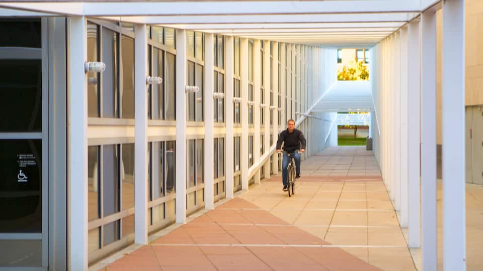 Wexner Center for the Arts que incluye vistas interiores, escenas de teatro y ciclismo