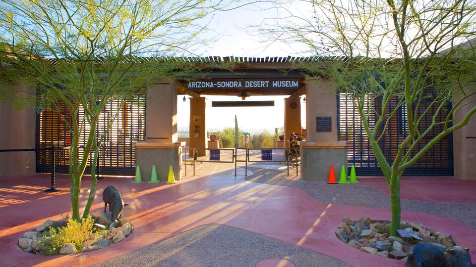 Arizona-Sonora Desert Museum featuring signage and desert views