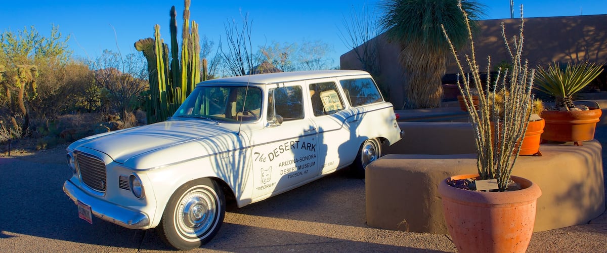 Arizona-Sonora Desert Museum featuring desert views and signage