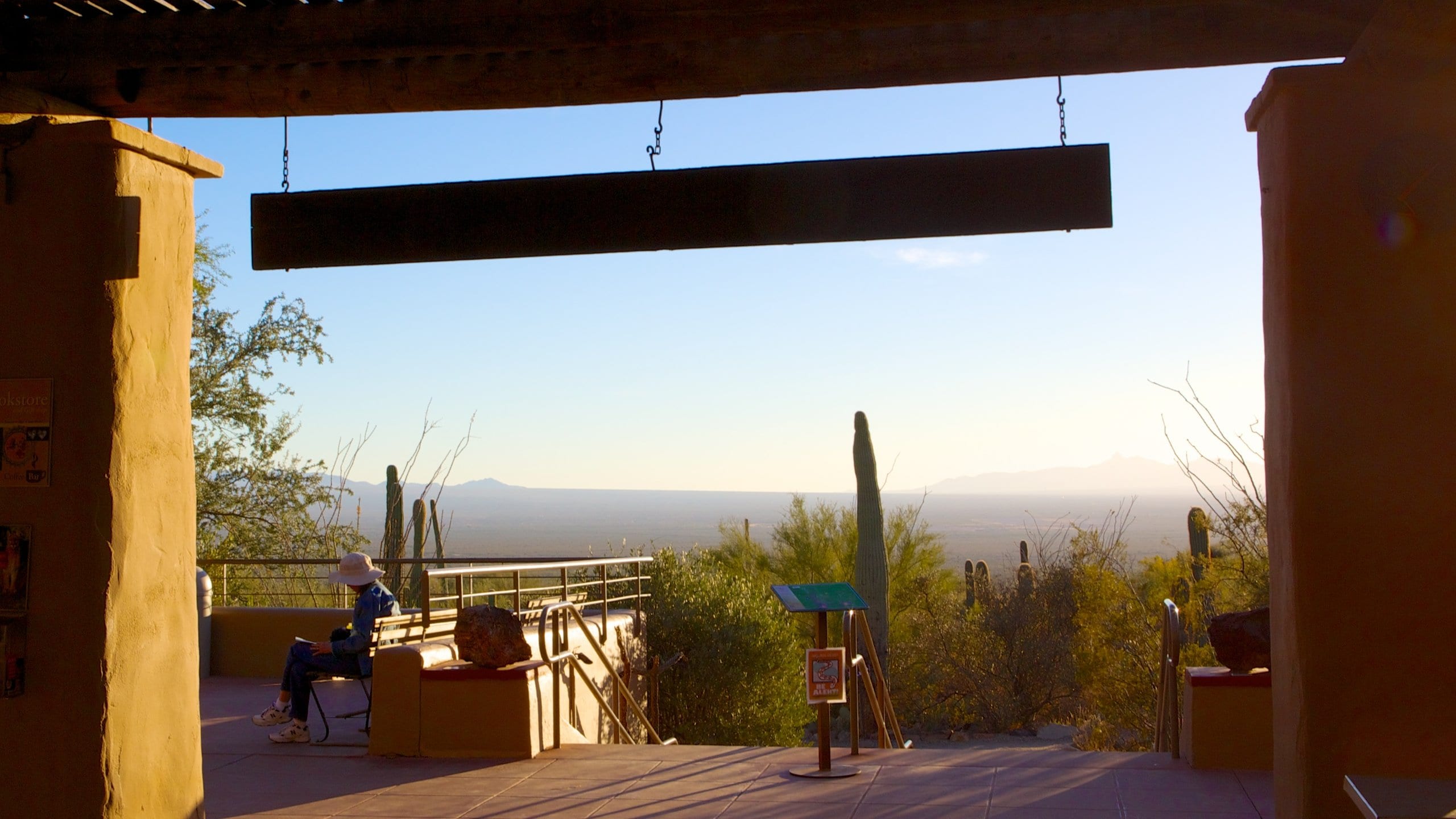 Ultimate Guide to Planning Your Saguaro National Park Elopement in 2026, image size:2560x1440