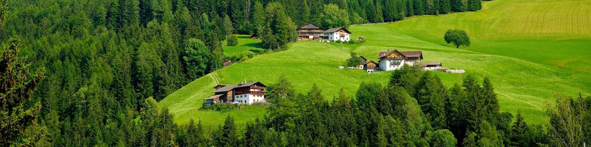Funes featuring tranquil scenes, farmland and mountains