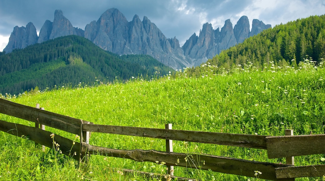 Funes som inkluderar stillsam natur, landskap och berg