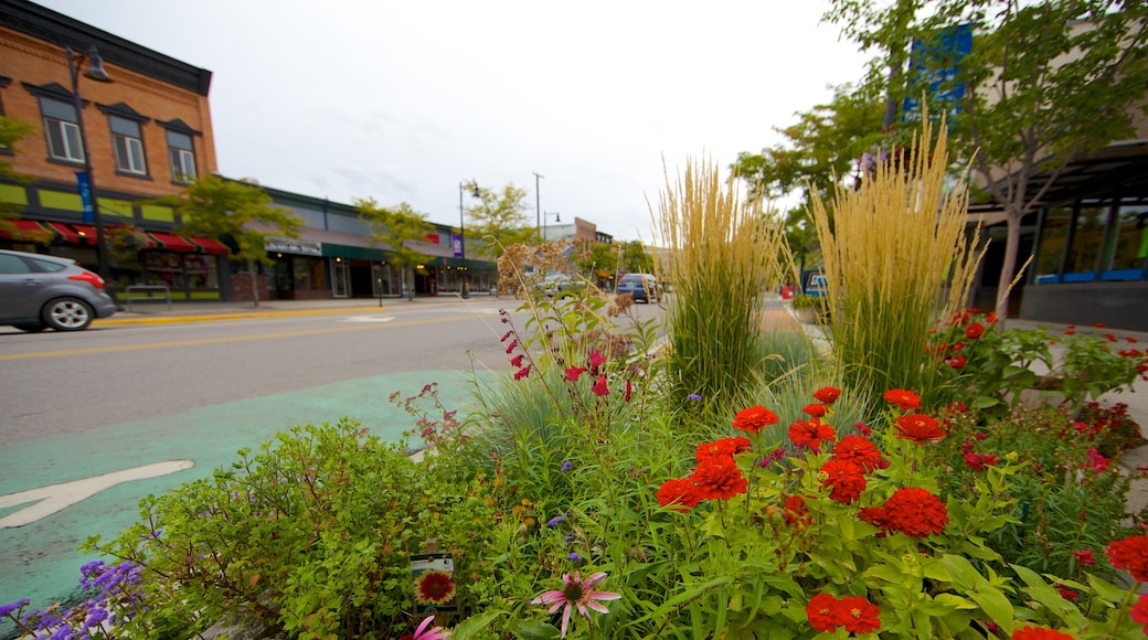 Missoula caracterizando uma cidade pequena ou vila, flores e cenas de rua