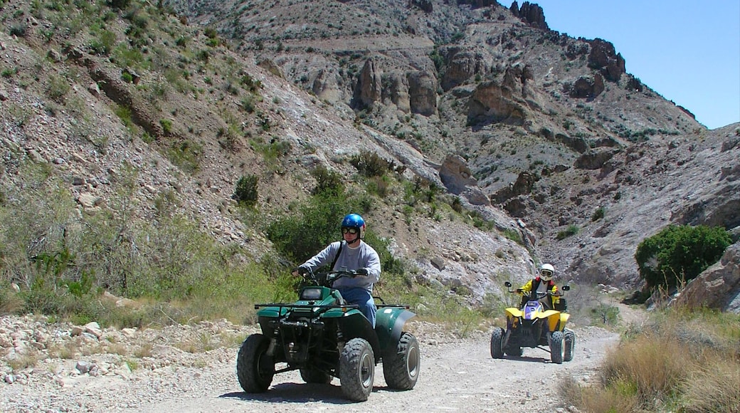 Bullhead City que inclui passeio de moto e montanhas