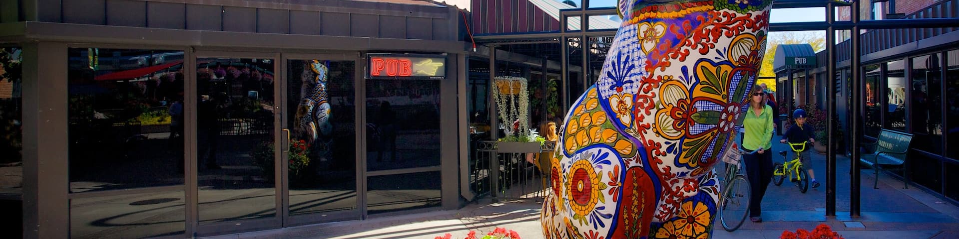 Fort Collins featuring outdoor art and a square or plaza
