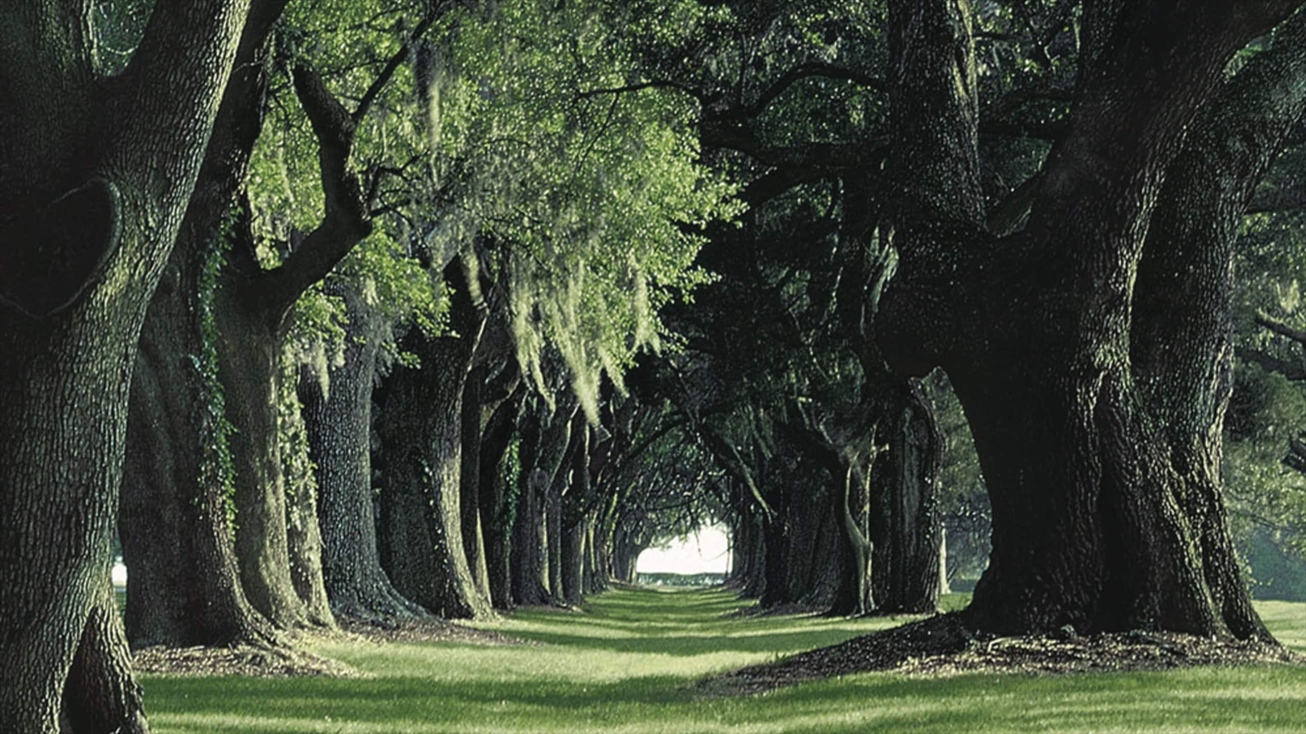 The 10 Best Hotels in Brunswick, from 48 for 2019 Expedia