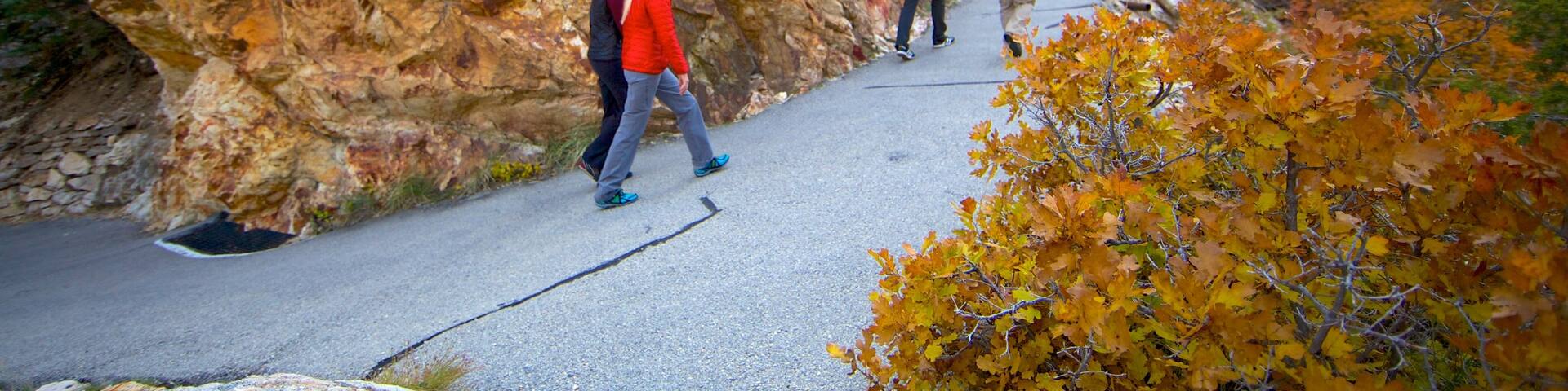 Timpanogos Cave National Monument showing a park, fall colors and hiking or walking
