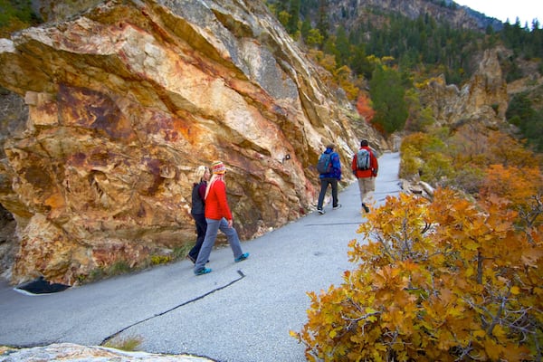 Timpanogos Cave National Monument mettant en vedette couleurs d\'automne, randonnée ou marche à pied et parc