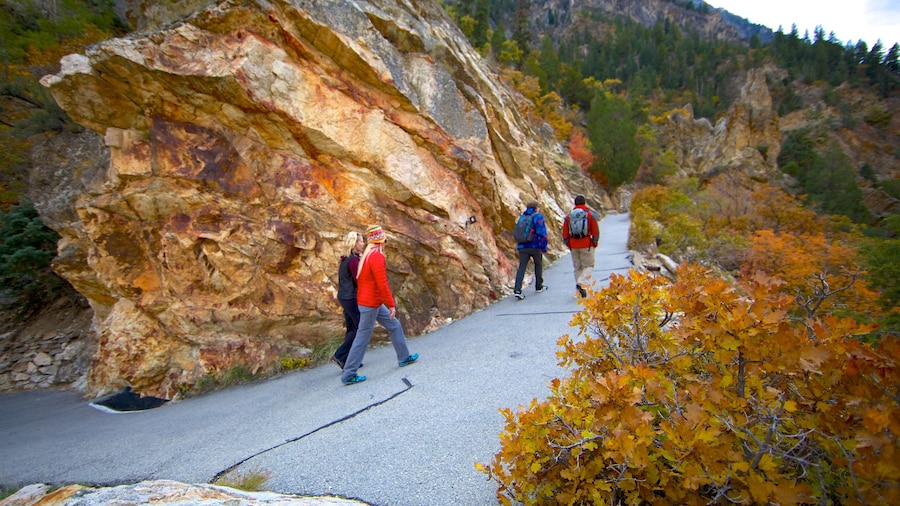 Timpanogos Cave National Monument which includes autumn colours, a garden and hiking or walking