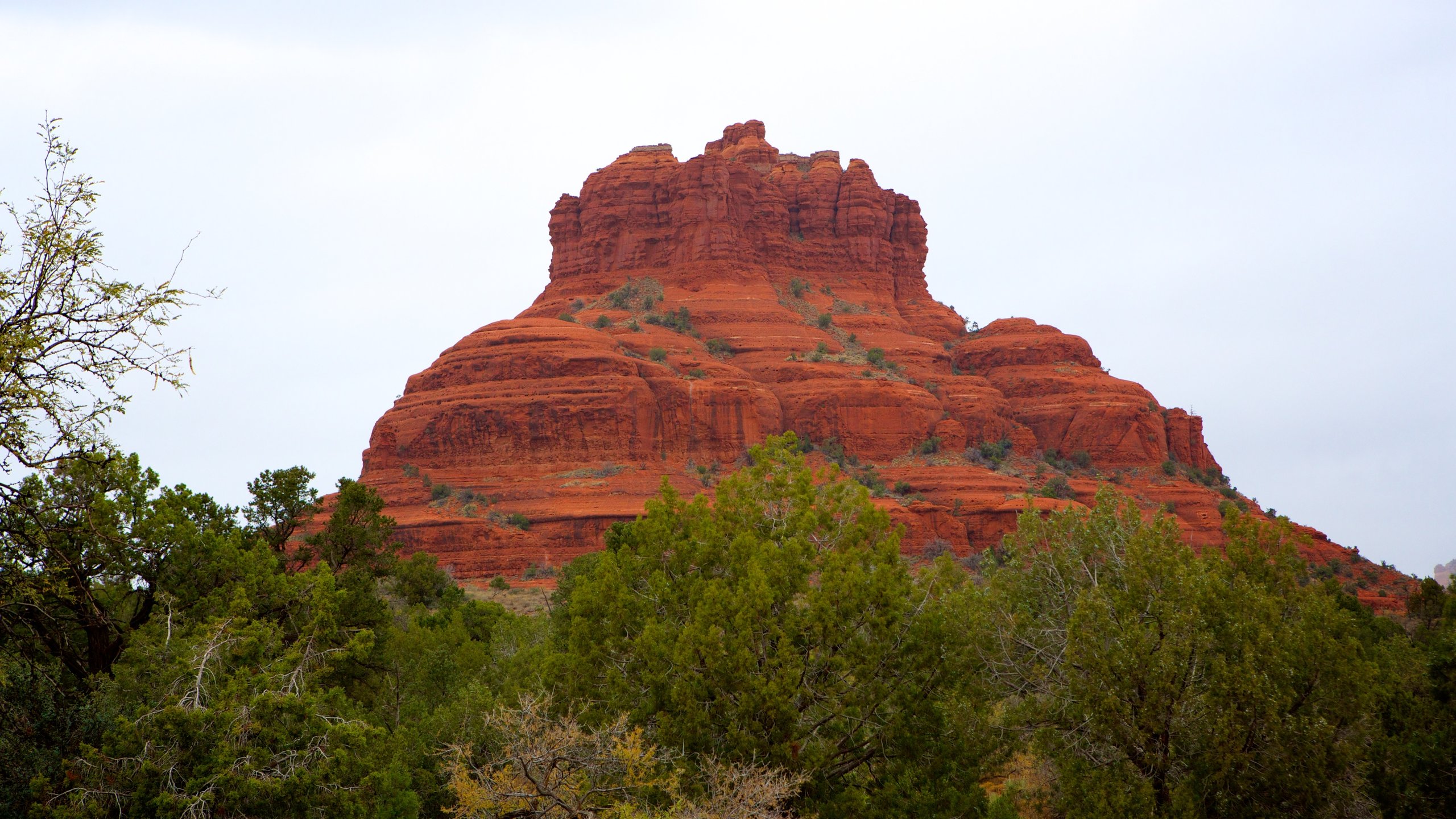 Bell Rock which includes tranquil scenes and a gorge or canyon