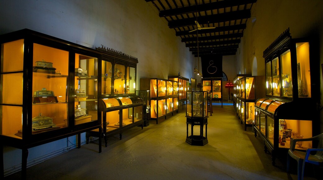 The Nizam\'s Museum showing interior views