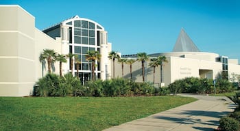 Gainesville caratteristiche di architettura moderna