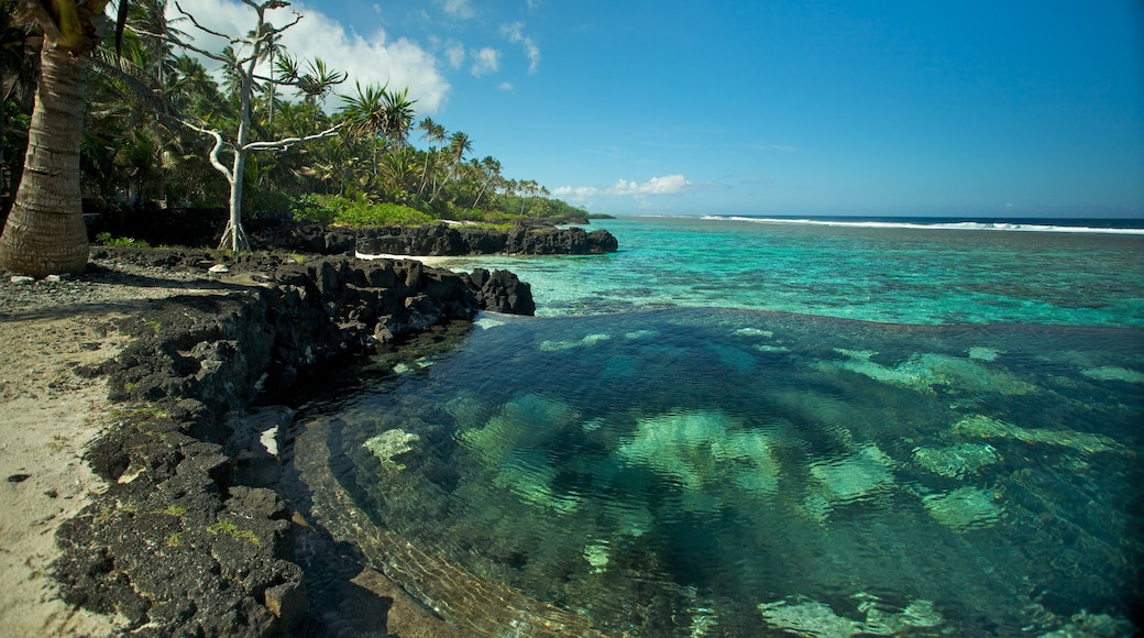 Upolu showing colourful reefs, tropical scenes and rocky coastline