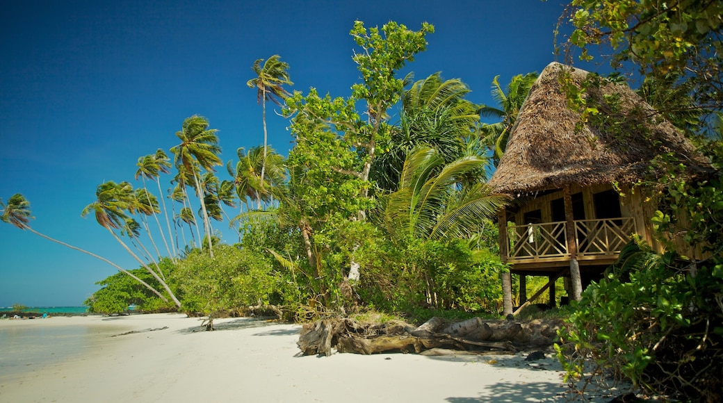 Upolu ofreciendo una playa y escenas tropicales