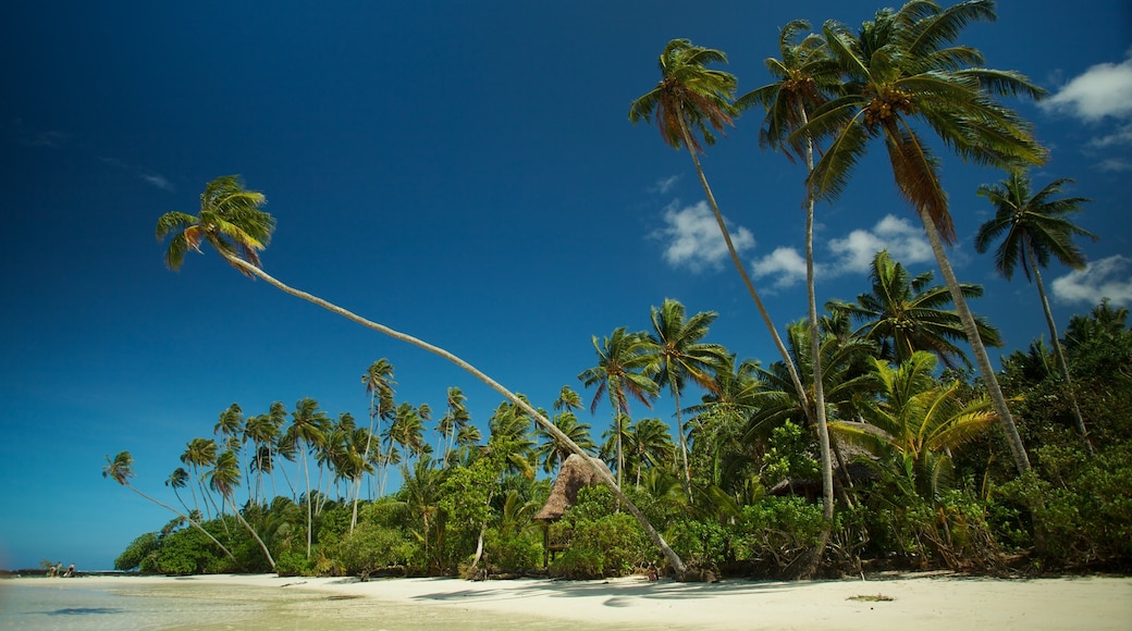 Upolu showing a sandy beach and tropical scenes