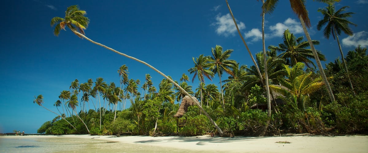 Upolu ofreciendo una playa y escenas tropicales