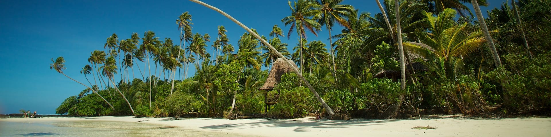 Upolu featuring a beach and tropical scenes