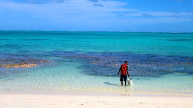 Conch Bar ofreciendo una playa y escenas tropicales y también un hombre