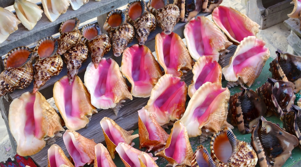 Conch Bar which includes markets