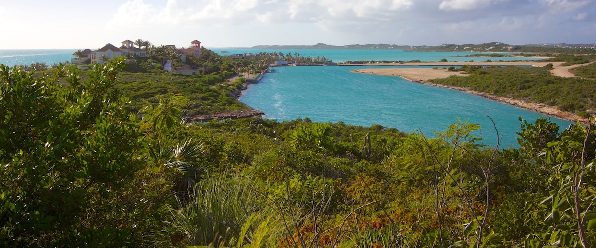 Turks et Caïcos montrant un hôtel ou un complexe de luxe, paysages côtiers et une plage