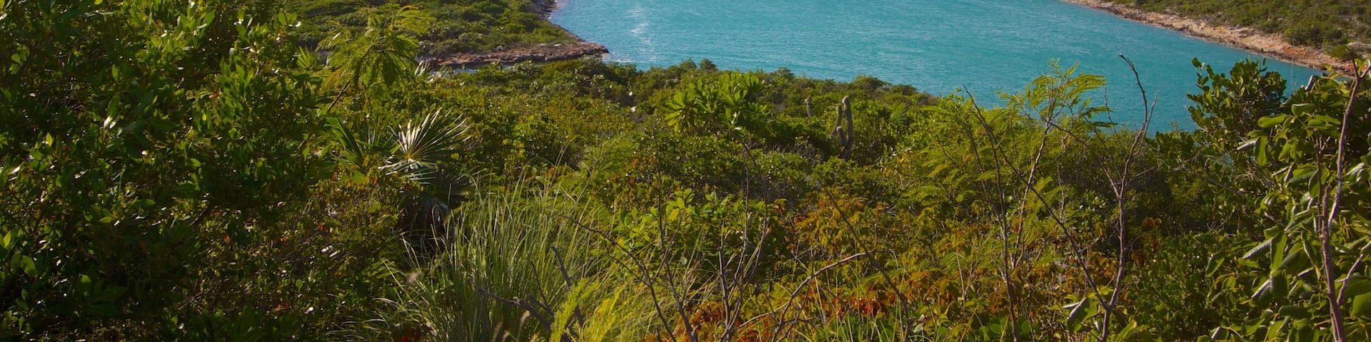 Turks and Caicos which includes a sandy beach, general coastal views and a luxury hotel or resort