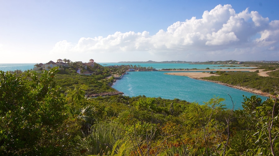 Turks en Caicoseilanden toont landschappen, een luxueus hotel of resort en algemene kustgezichten