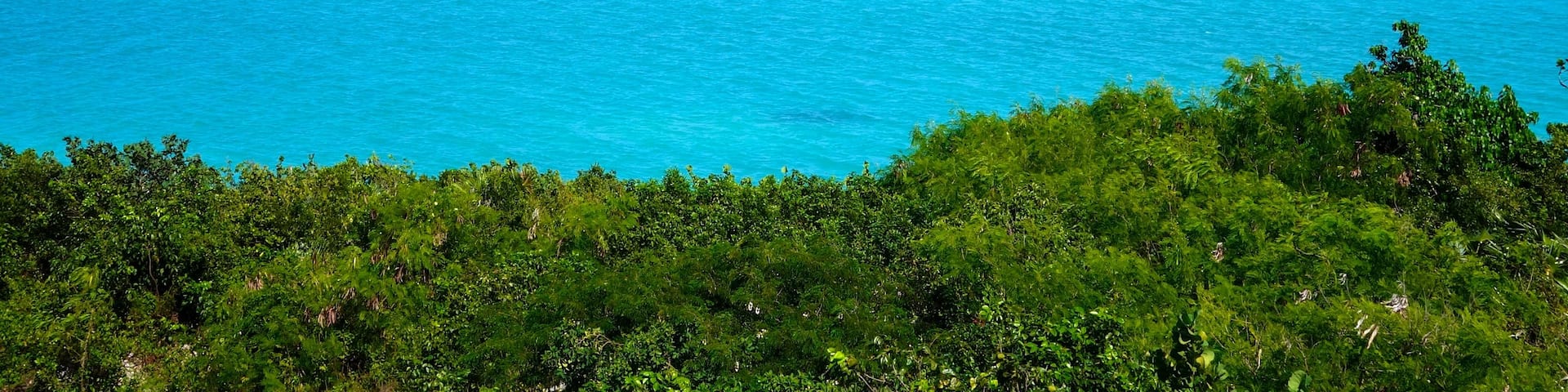 Providenciales qui includes vues littorales, vues d\'Ăźle et panoramas