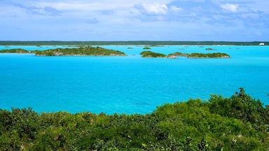 Providenciales qui includes vues littorales, vues d\'île et panoramas