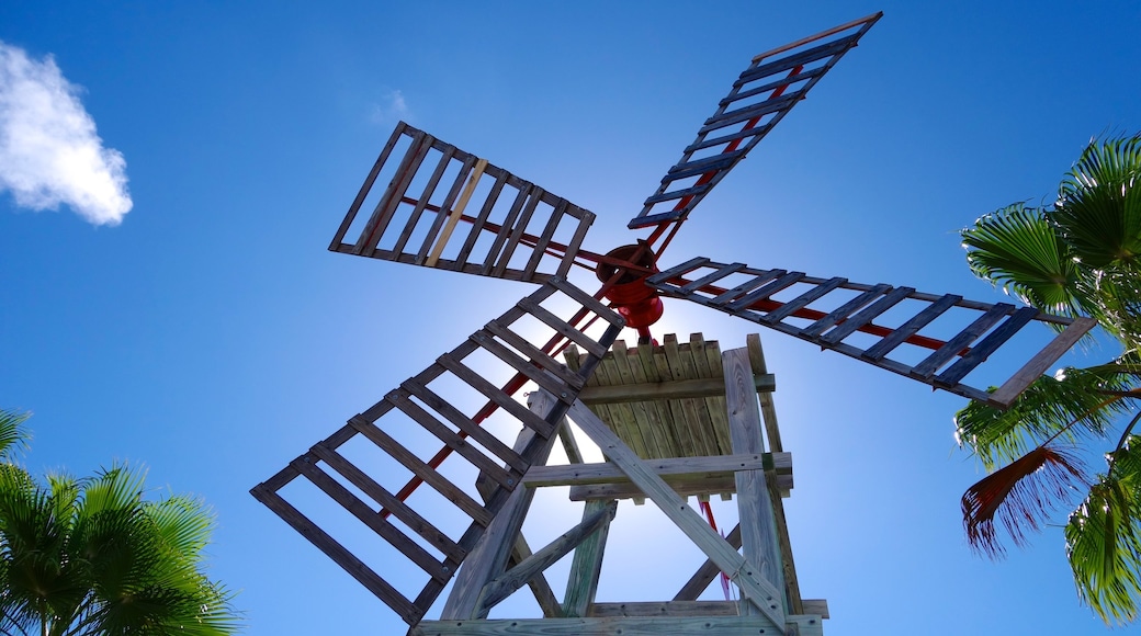 Providenciales toont een windmolen