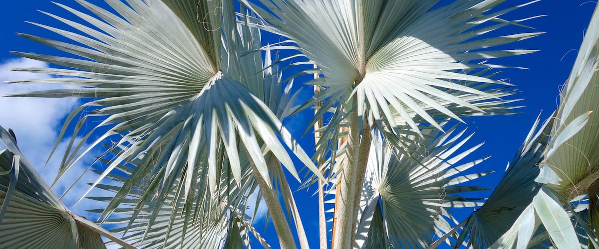 Providenciales