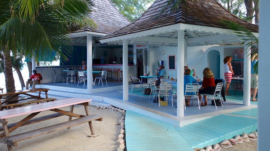 Conch Bar featuring tropical scenes, outdoor eating and a bar