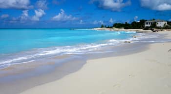 Grace Bay showing a house, a beach and tropical scenes