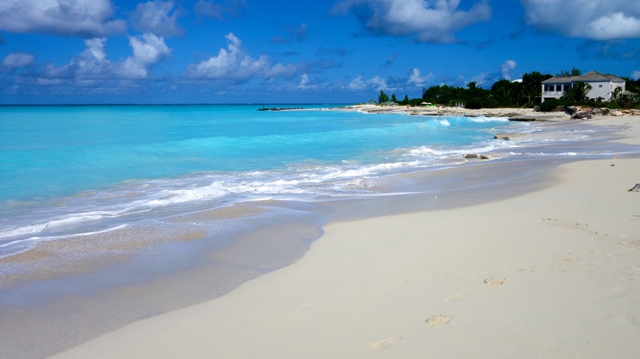 Grace Bay showing a beach, tropical scenes and a house