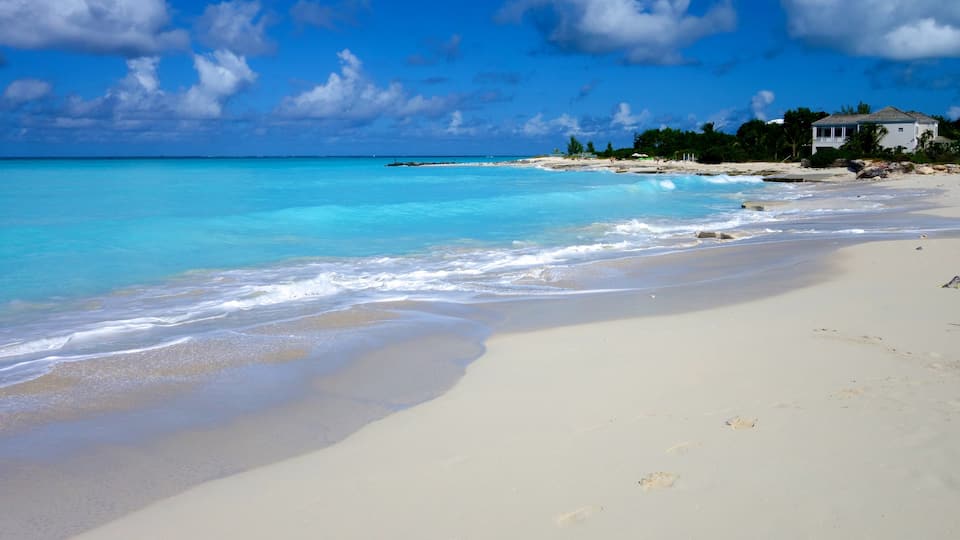 Grace Bay som omfatter en sandstrand, et hus og tropiske områder