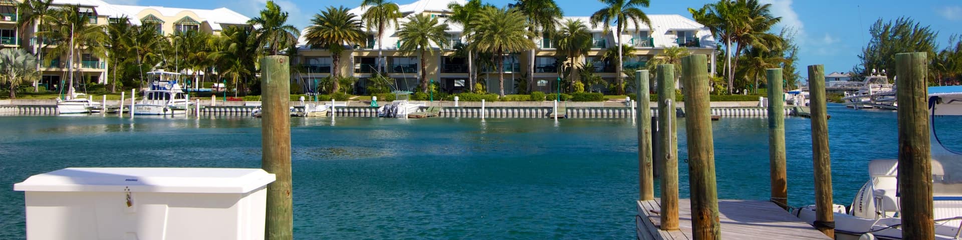 Turtle Cove which includes tropical scenes, views and a bay or harbor