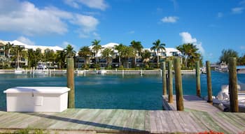 Turtle Cove featuring tropical scenes, a coastal town and a bay or harbour