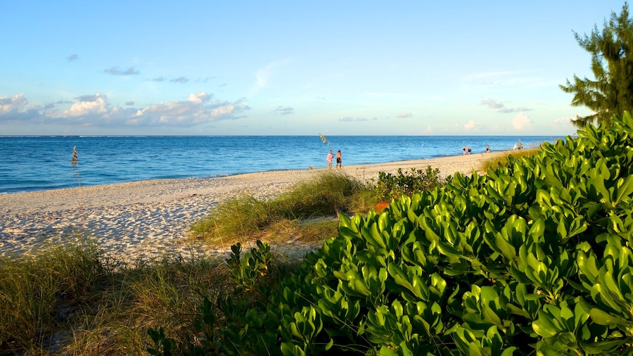 Grace Bay Beach showing a sandy beach