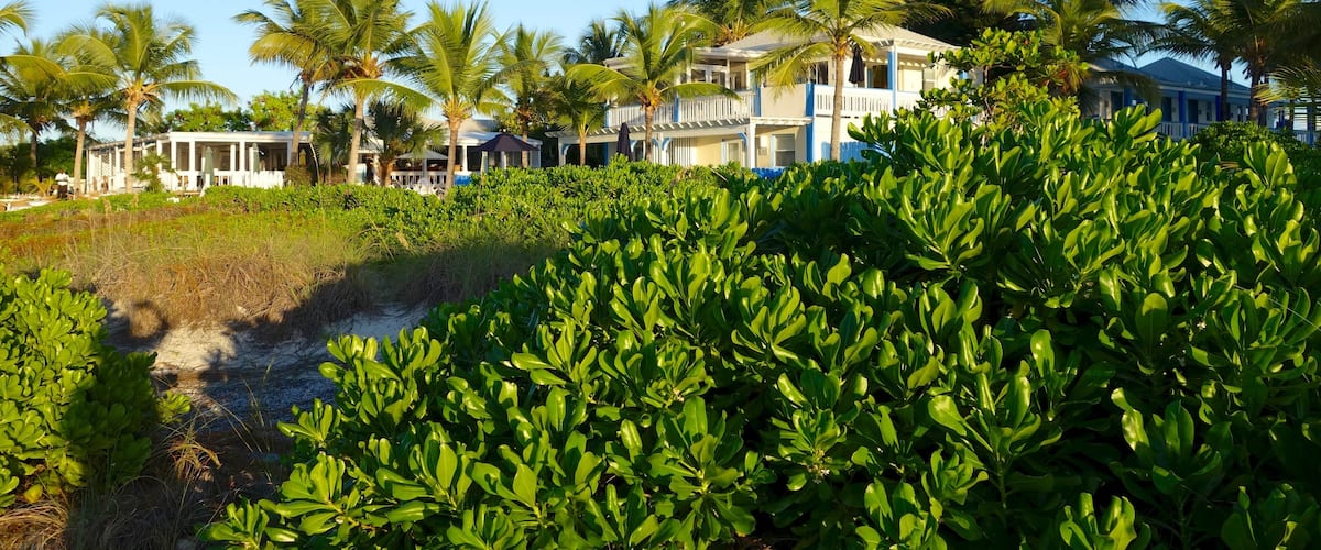 Turks y Caicos mostrando vistas generales de la costa, una casa y una ciudad costera