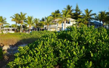 タークスカイコス諸島観光ガイド 定番人気スポットを参考に自分にピッタリの観光プランを立てよう エクスペディア タークスカイコス諸島観光ガイド 定番人気スポットを参考に自分にピッタリの観光プランを立てよう エクスペディア