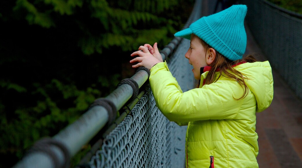 Puente de suspensión Capilano que incluye un puente colgante o pasarela y también un niño