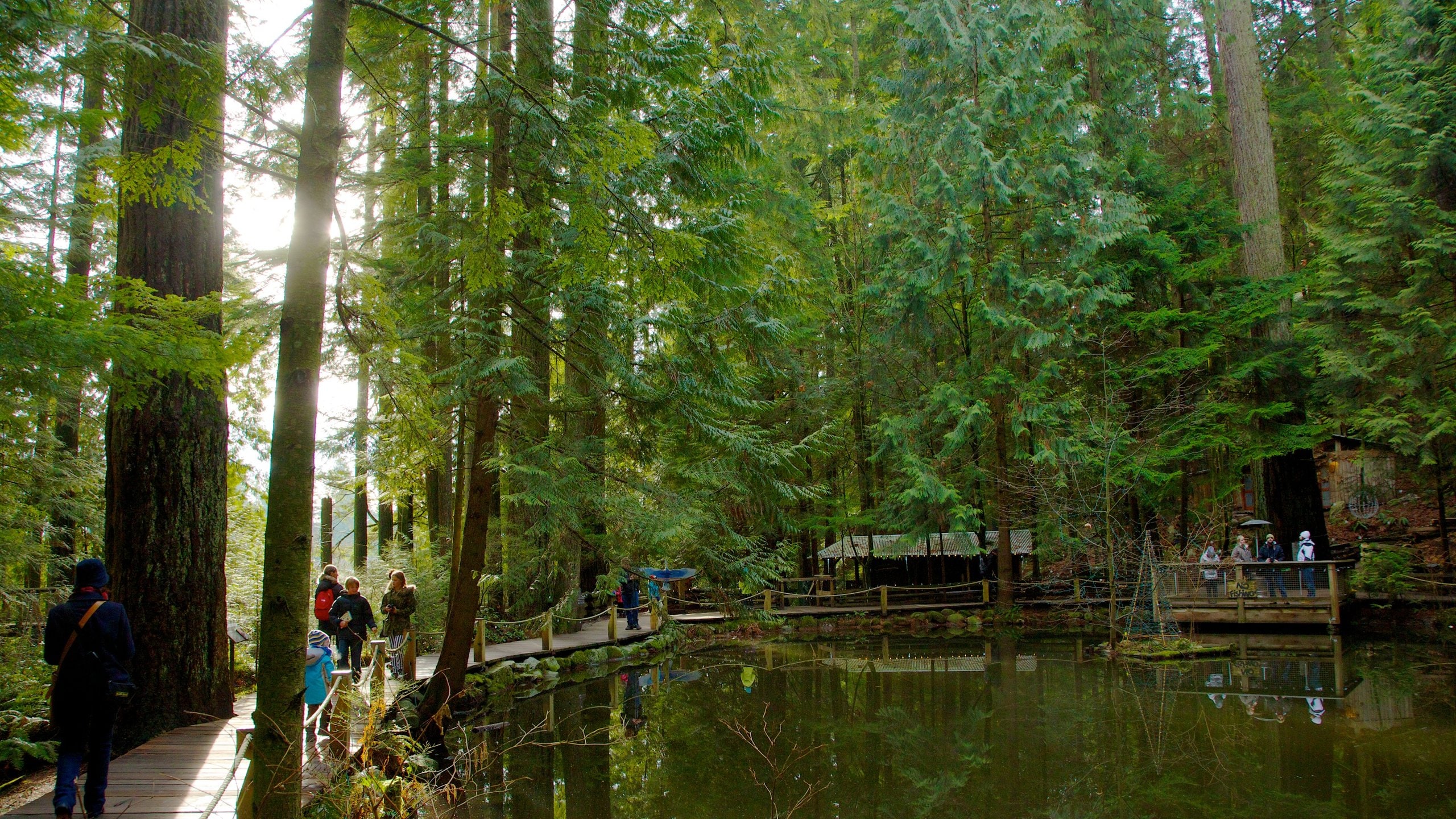 Capilano Suspension Bridge, District of North Vancouver Vacation