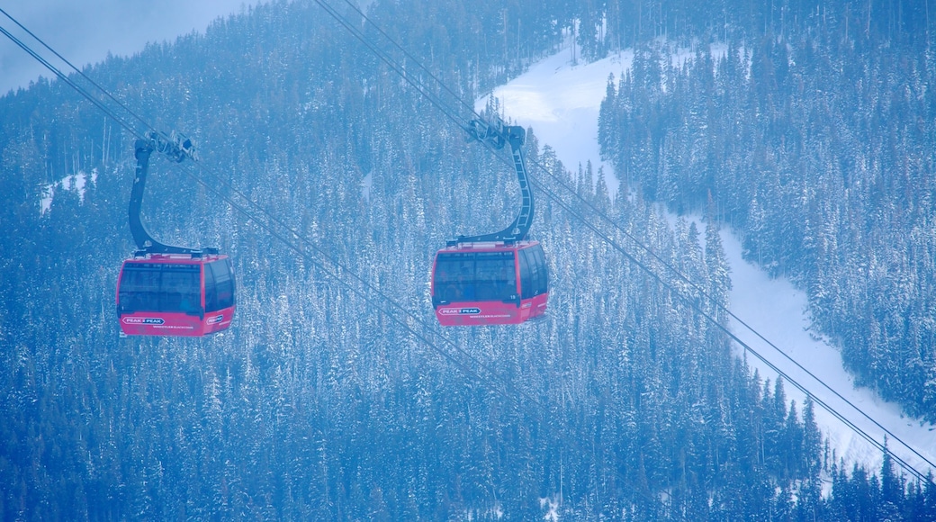 Teleférico Peak 2 Peak mostrando una góndola, nieve y bosques