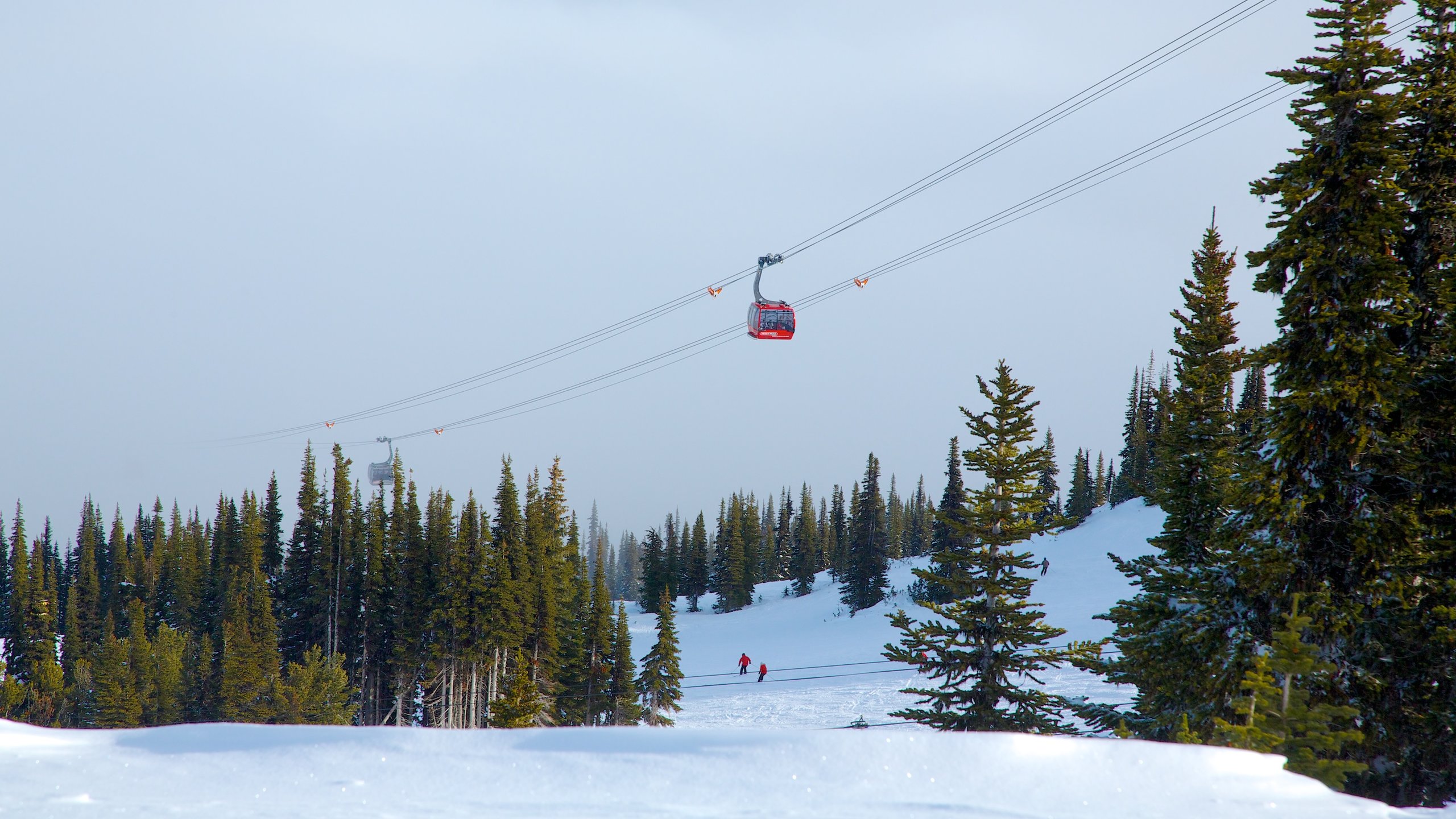 Peak 2 Peak Gondola Blackcomb Ski Lift in Whistler - Tours and