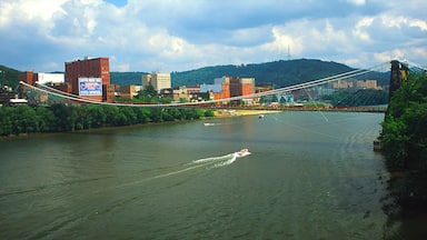 Wheeling featuring a city, a suspension bridge or treetop walkway and a river or creek