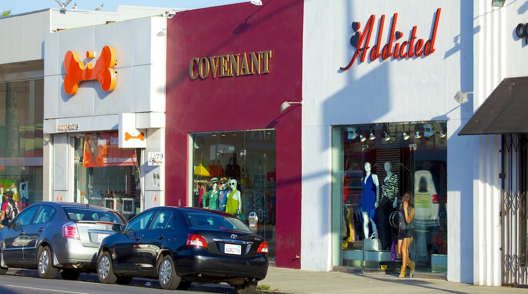 Melrose Avenue showing shopping, fashion and signage