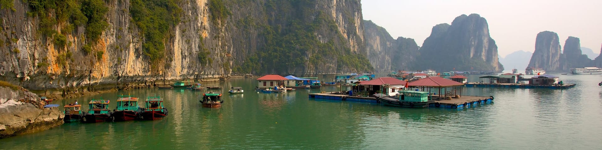 Halong Bay showing a coastal town, a gorge or canyon and rocky coastline