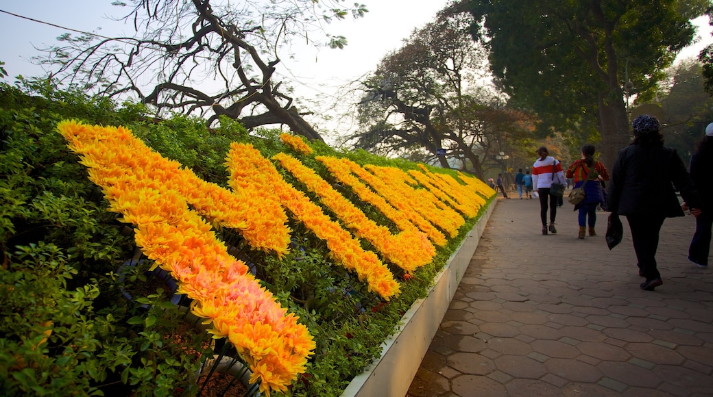 Lac Hoan Kiem mettant en vedette fleurs