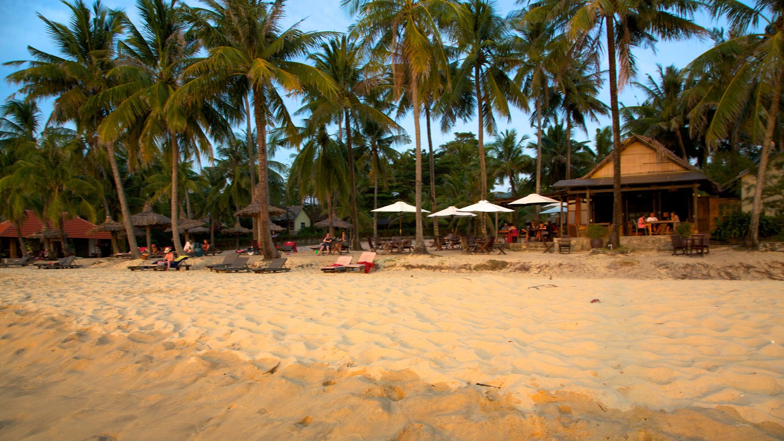 Phu Quoc Beach showing tropical scenes and a sandy beach